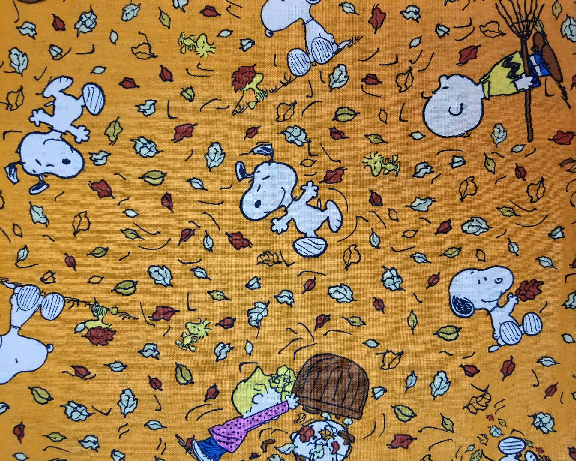 Snoopykuschelt Sich In Den Herbst Ein Wallpaper
