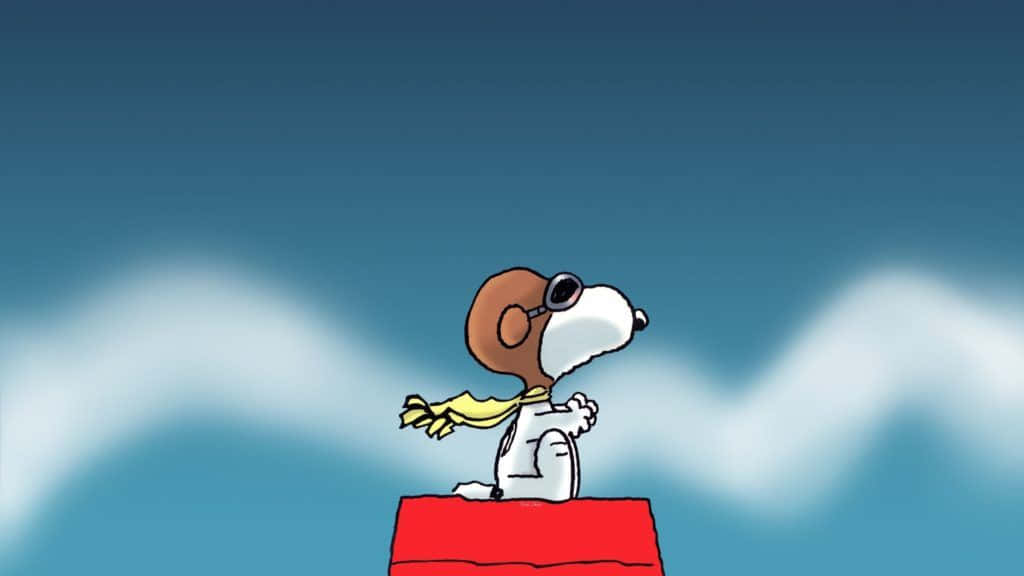 Snoopy Aviatoron Doghouse Wallpaper