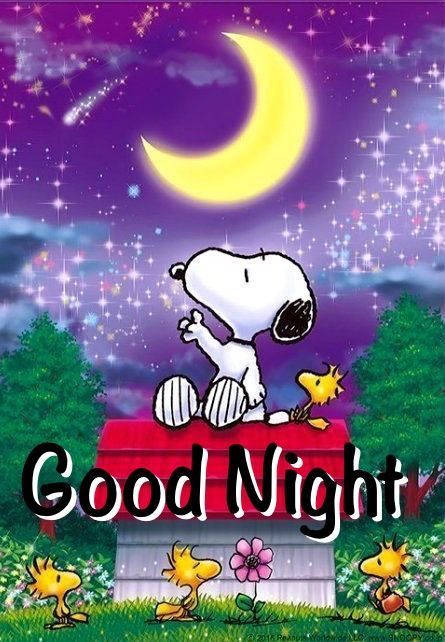Snoopy Good Night Wallpaper