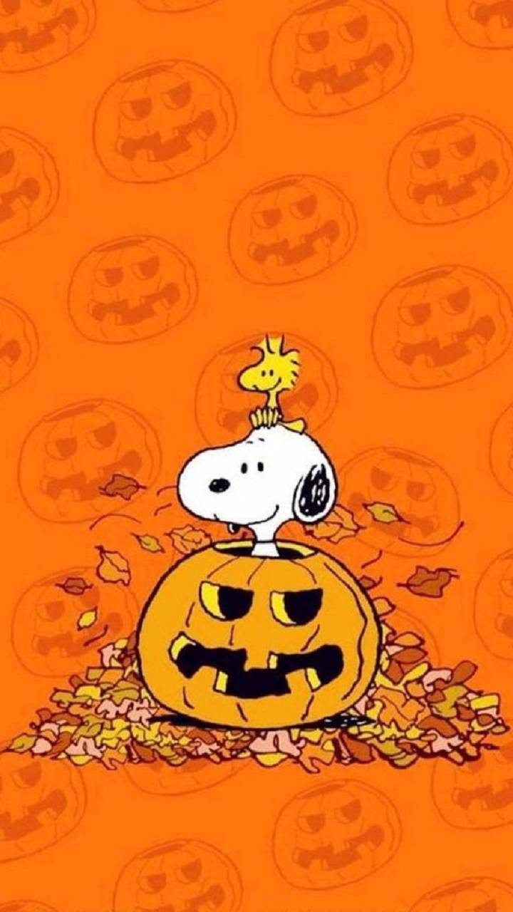 Snoopysi Sta Preparando Per Halloween, Si Sta Mettendo In Atmosfera Spaventosa! Sfondo
