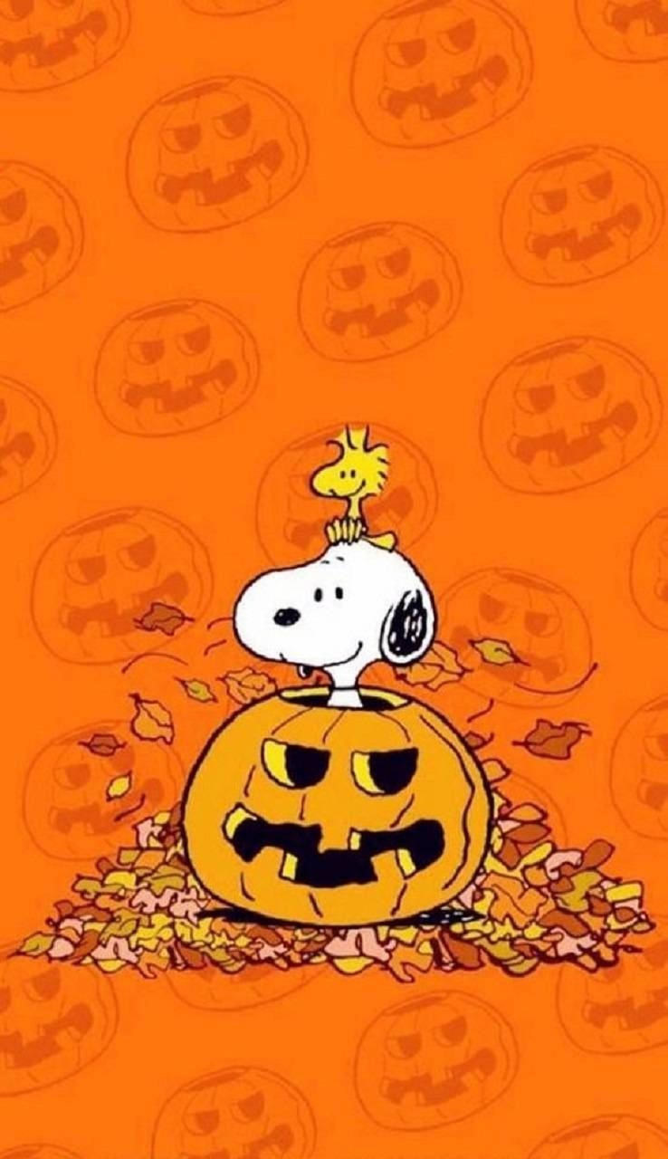 Snoopyklæder Sig Ud I Halloween-kostume. Wallpaper