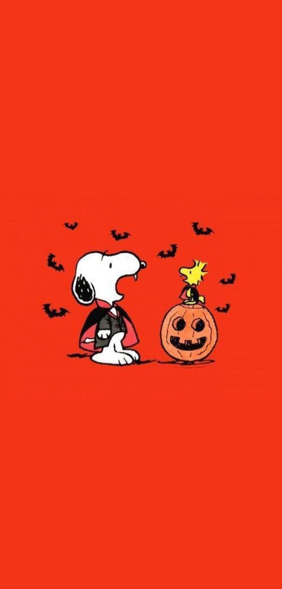 Dracula Snoopy Halloween Wallpaper