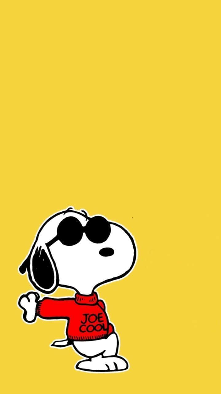 Snoopy Joe Cool Yellow Background Wallpaper