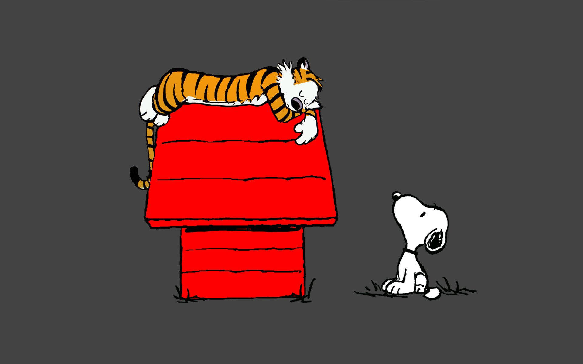 Snoopy watching Hobbes Wallpaper