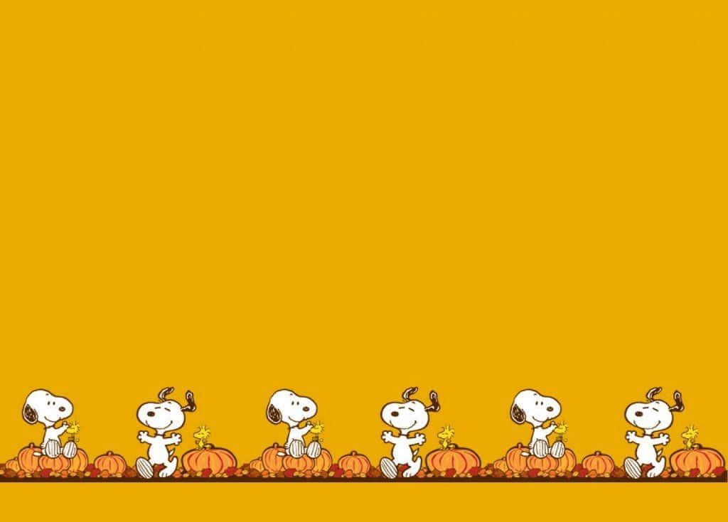 Feiernwir Thanksgiving Mit Snoopy! Wallpaper
