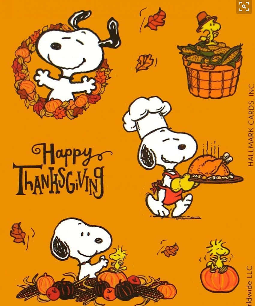 Snoopyfejrer Thanksgiving Med Sine Venner. Wallpaper