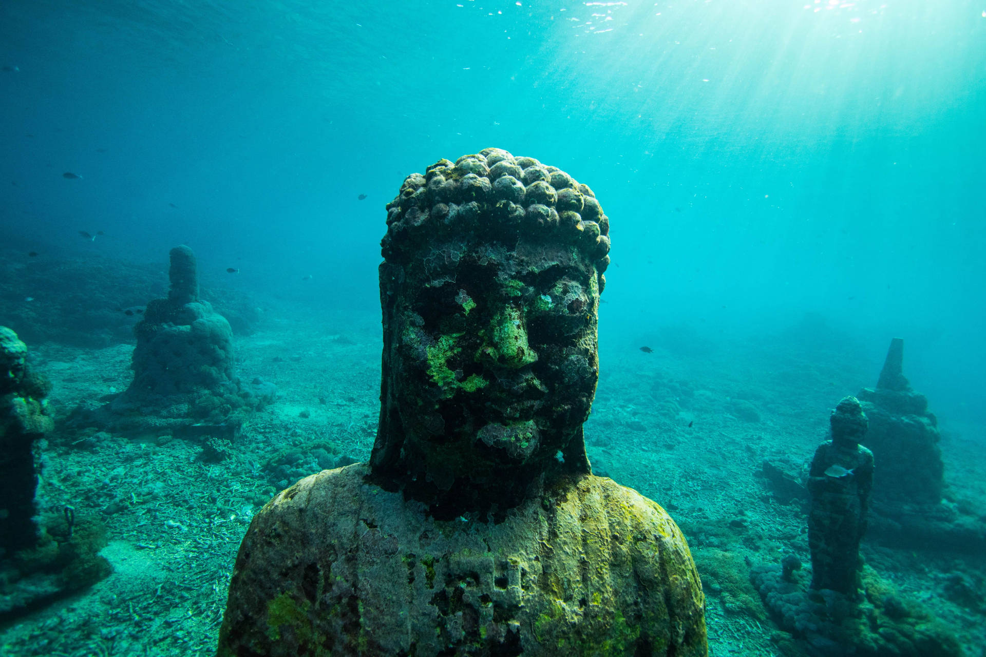 Snorkeling Buddha Statue Wallpaper