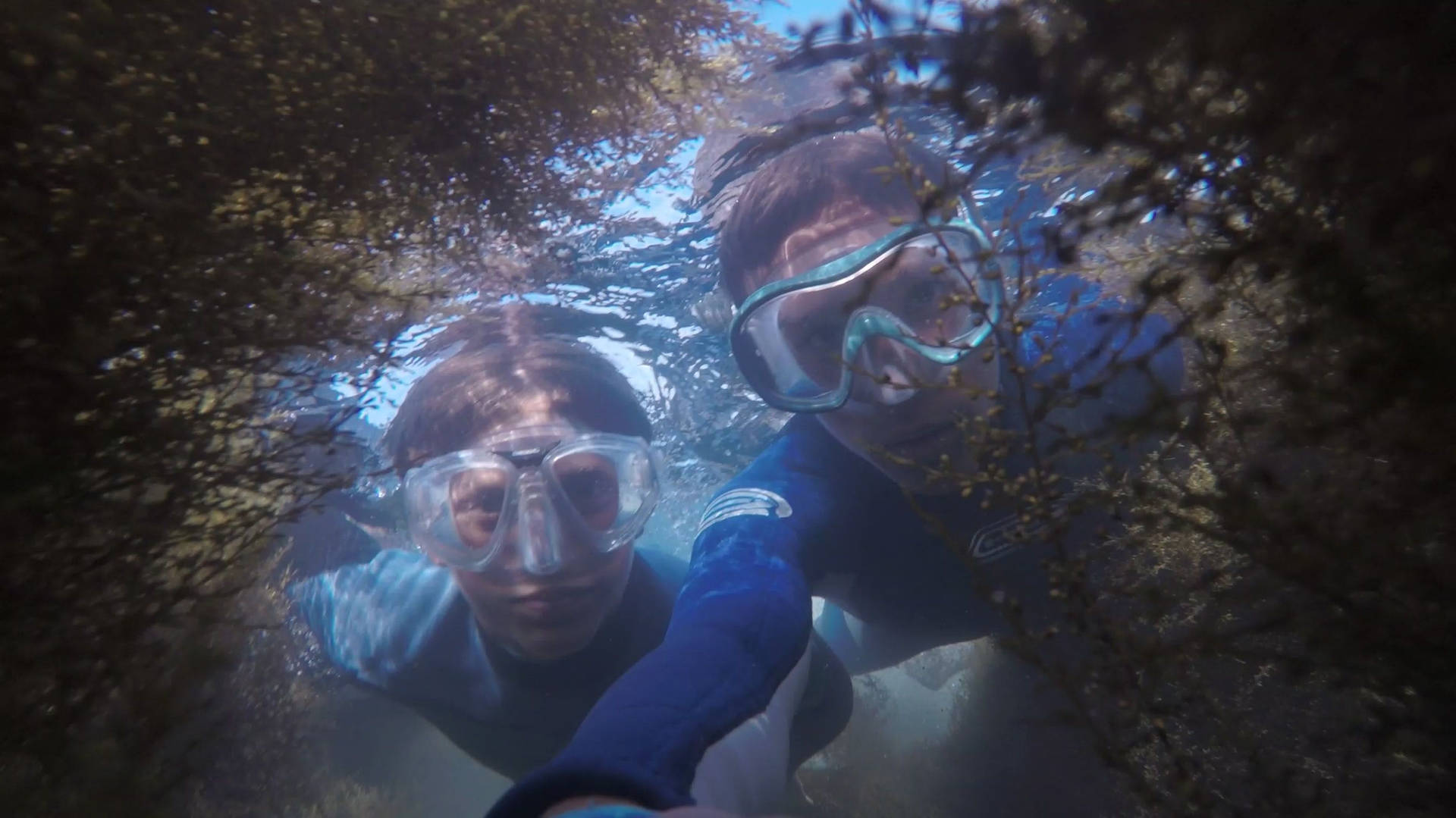 Fondode Pantalla De Buceo En Arrecife De Coral Y Selfie. Fondo de pantalla