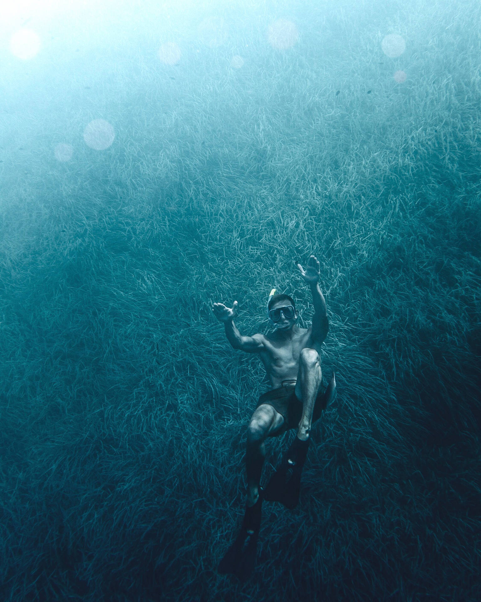 Svømming dybt under vandgræs Wallpaper
