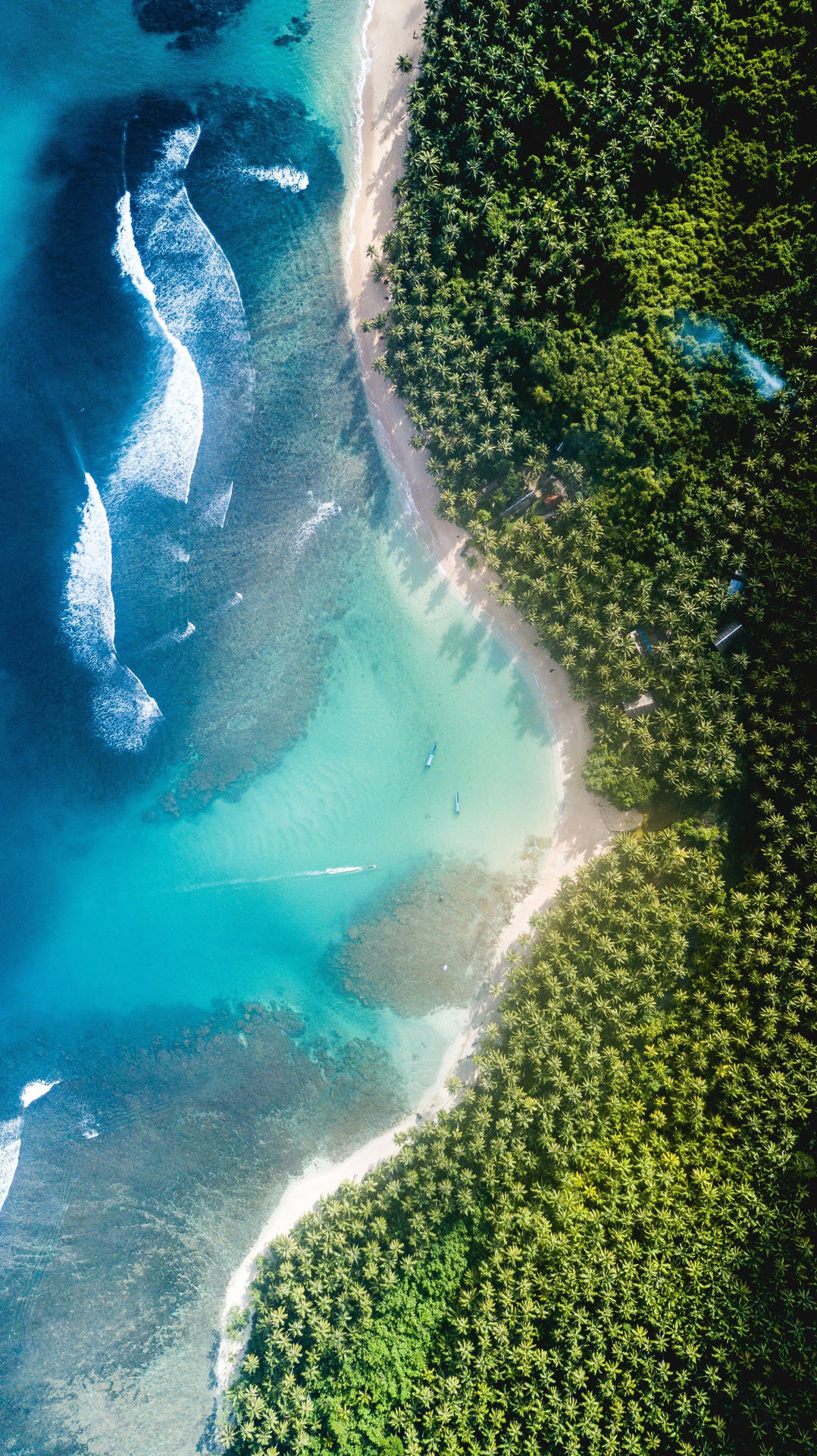 Destinode Buceo Con Tubo: Hawai Fondo de pantalla