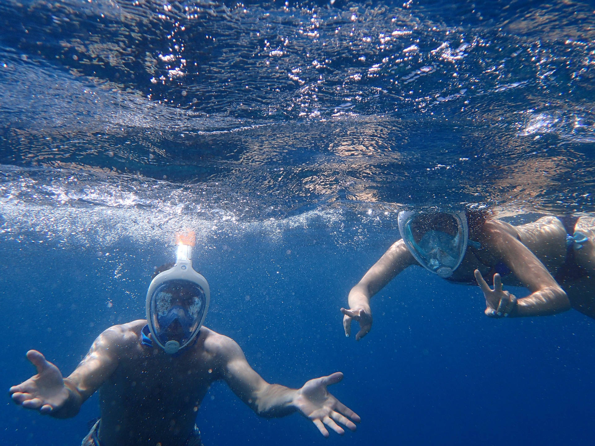 Buceadoresde Snorkeling Posando. Fondo de pantalla