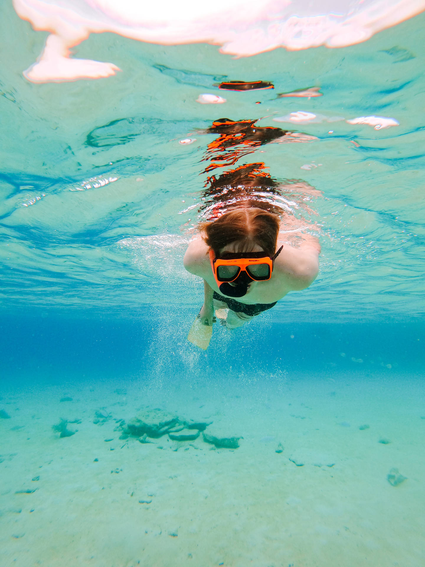 Snorkeling In Clear Waters Wallpaper