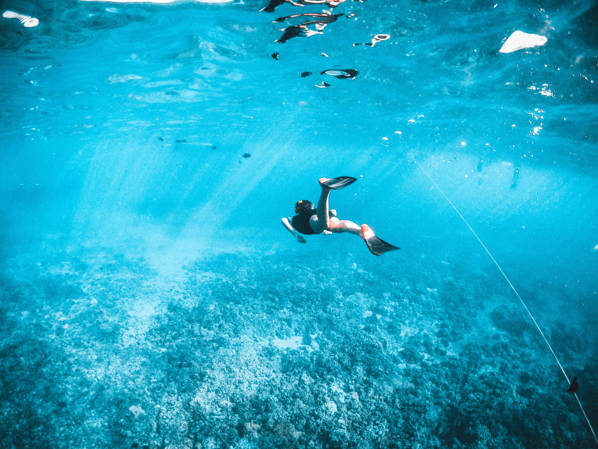 Snorkeling In Hawaii Wallpaper