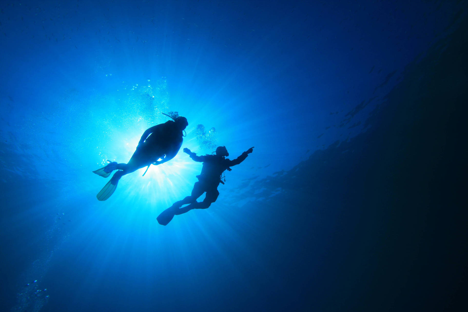 Snorkeling Silhouettes Wallpaper