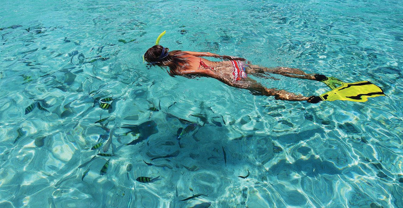 Snorkeling With Fishes Wallpaper