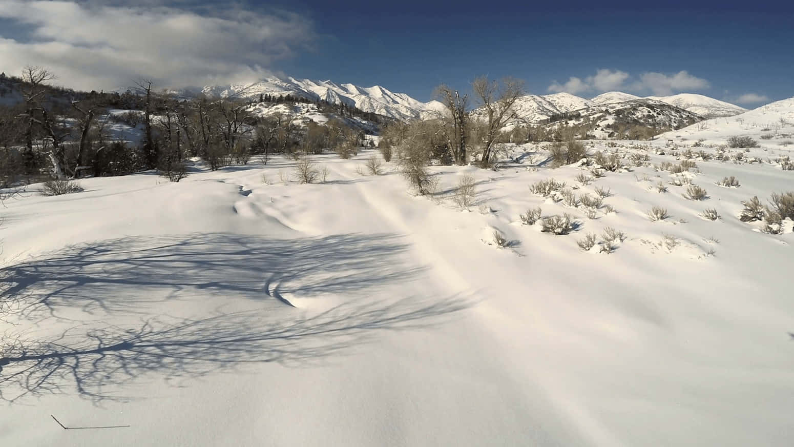 Disfrutade La Belleza De Un Día De Invierno Nevado. Fondo de pantalla