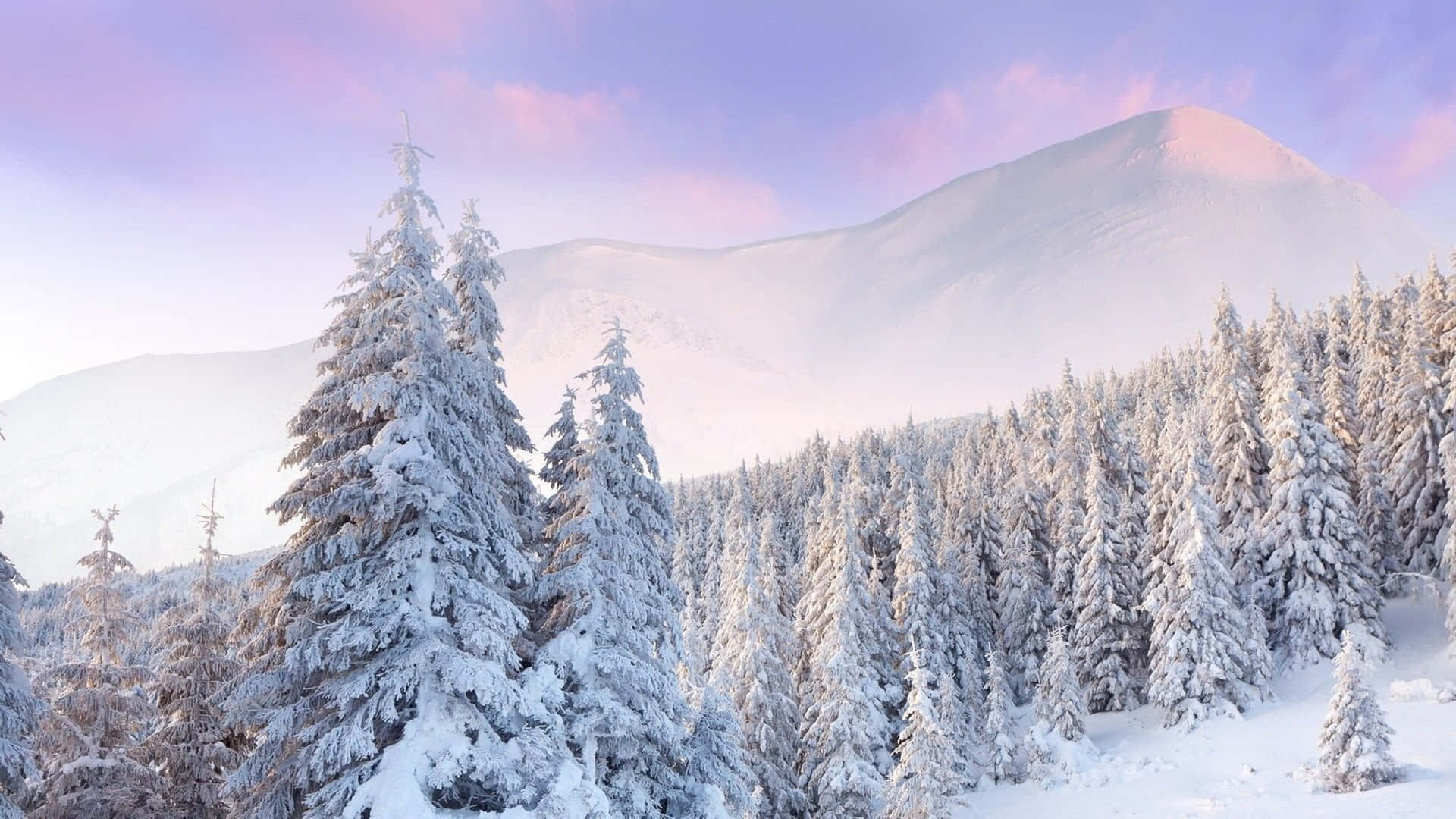 Vistamajestuosa De Las Montañas Cubiertas De Nieve Fondo de pantalla