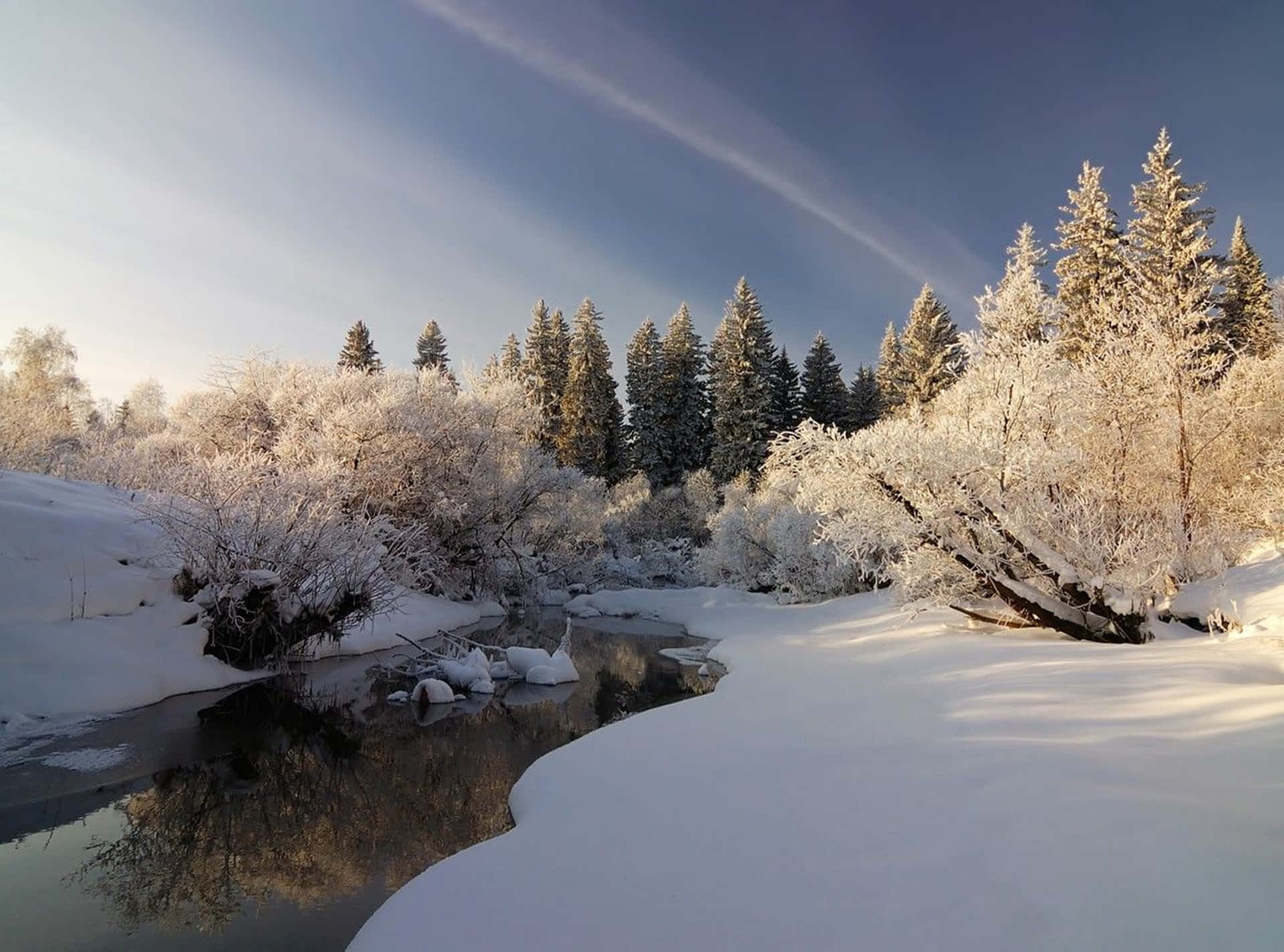 Pin skov dækket i sne 4K med en frossen flod Wallpaper