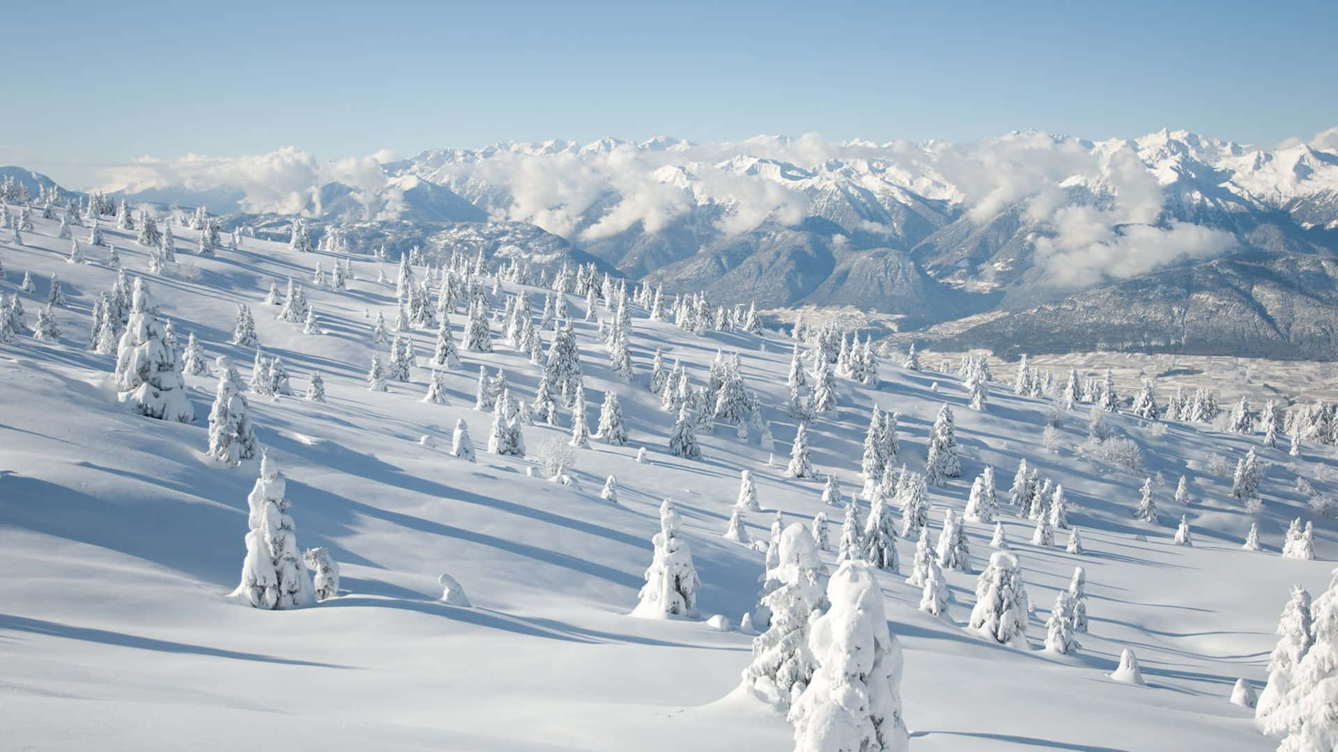 Enjoy this beautiful winter wonderland captured in 4K Wallpaper