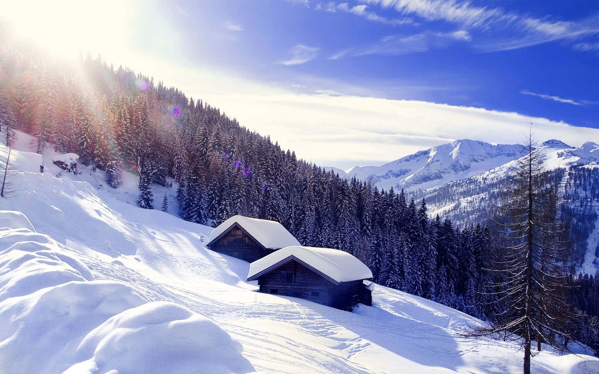 Unhombre Se Encuentra Frente A Cumbres Y Montañas Cubiertas De Nieve, Mirando Con Asombro. Fondo de pantalla