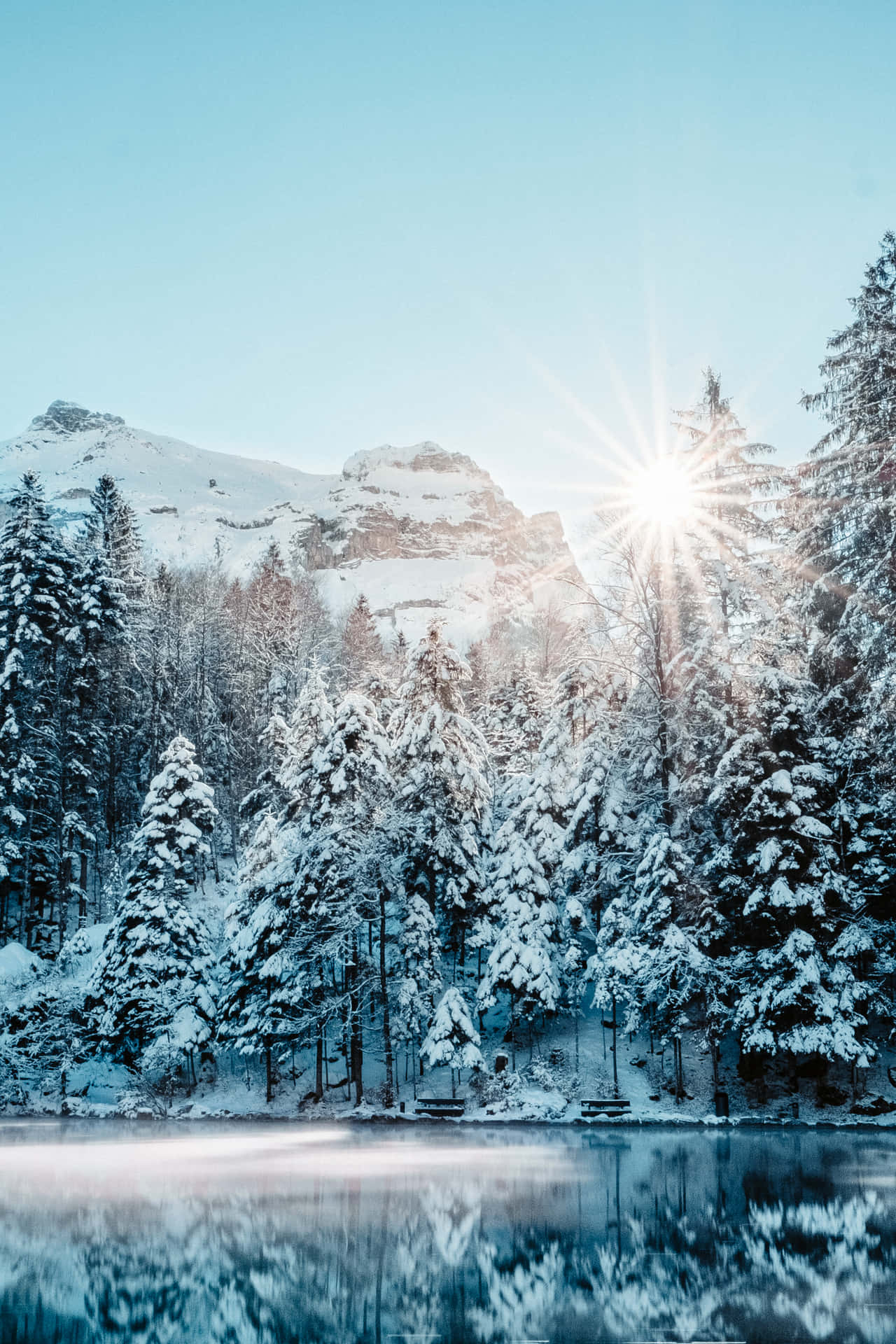 "A blissful winter wonderland awaits"