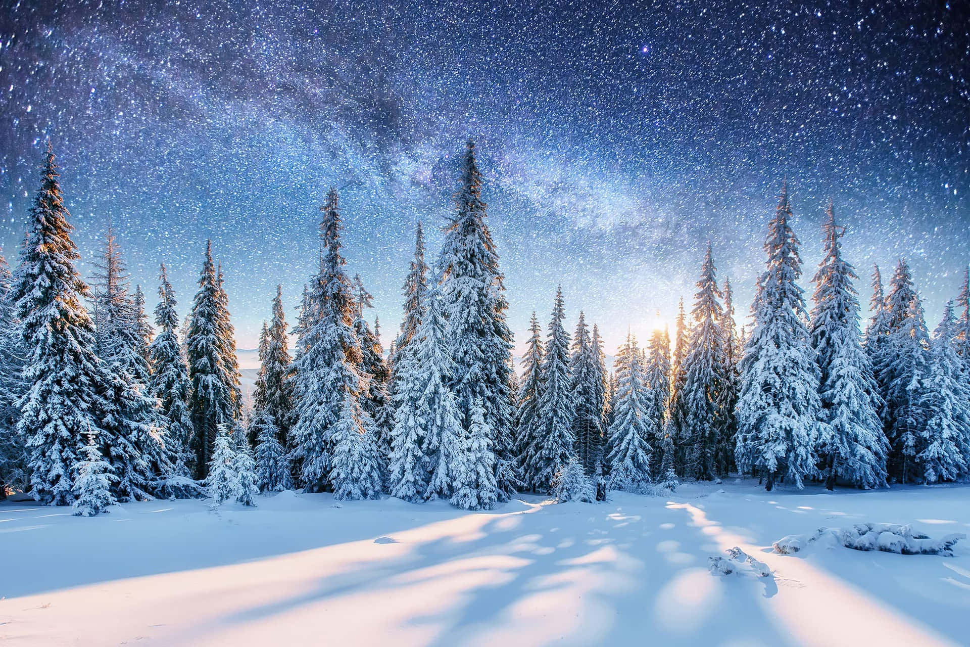 Etforbløffende Vintermaleri Med Fortryllende Hvidt Sne Og Smuk Natur I Baggrunden.
