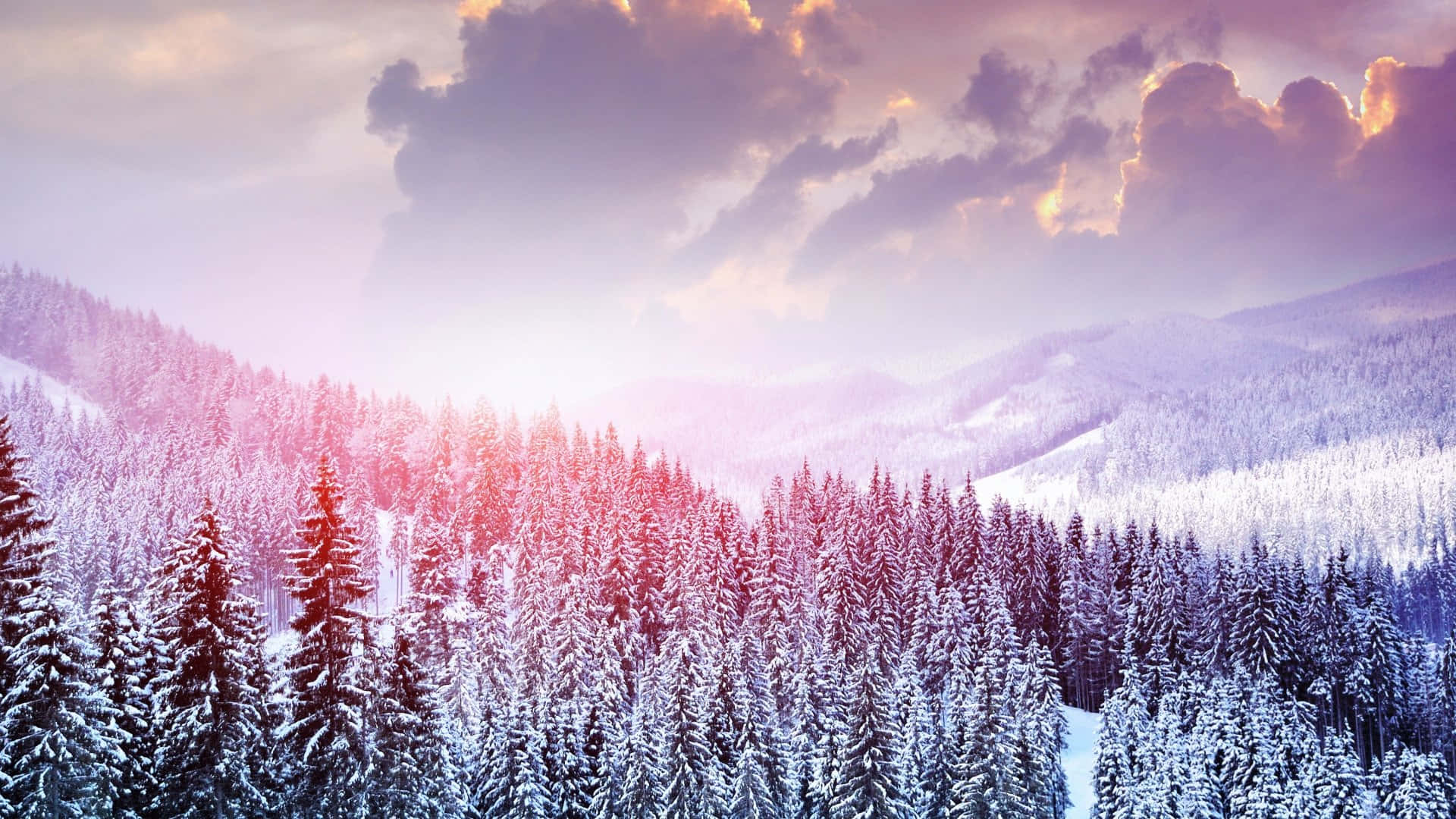 Einblick Auf Schneebedeckte Berge Erstreckte Sich In All Ihrer Winterlichen Pracht.