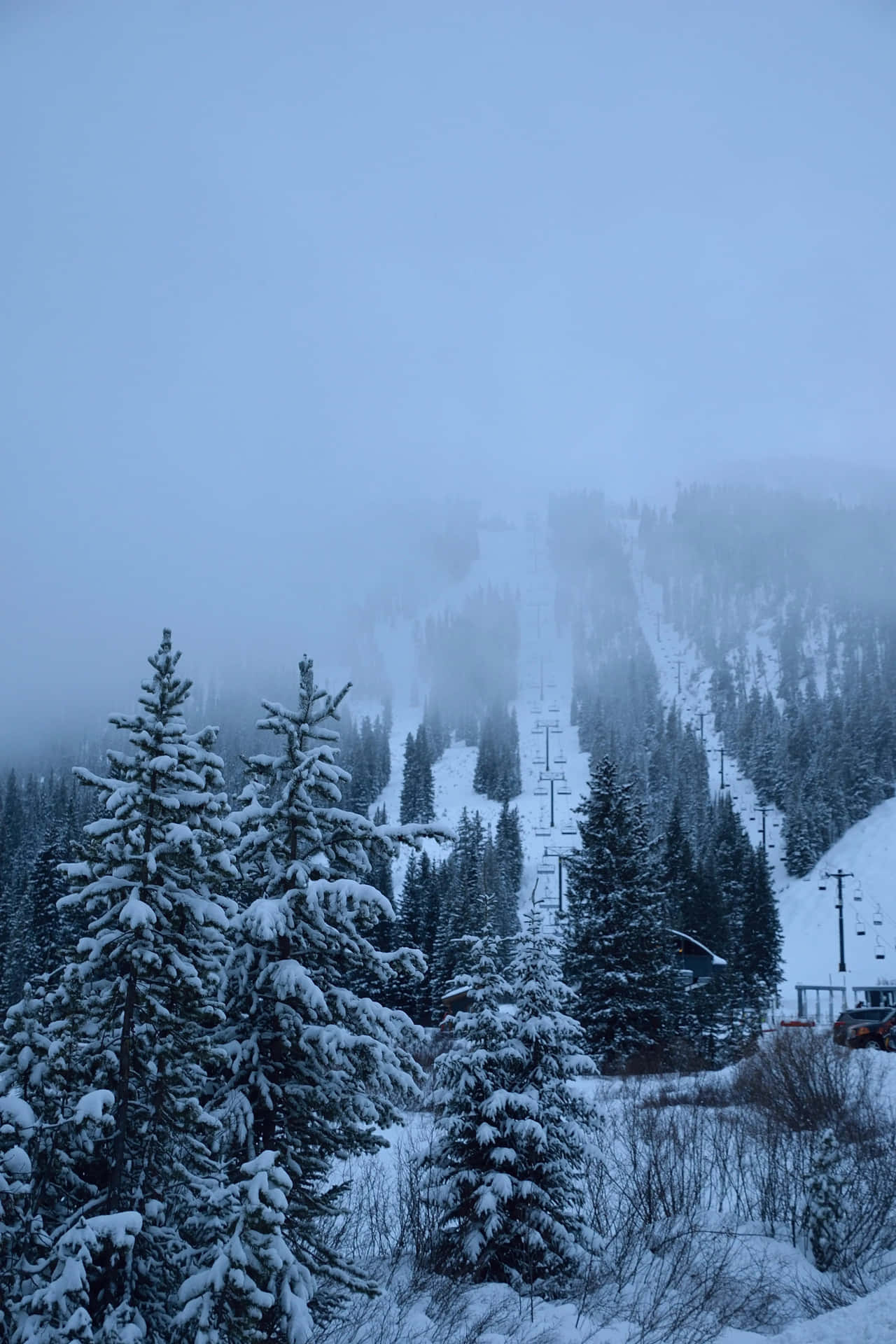 Uppleven Fridfull Vinter I En Snöig Landskap