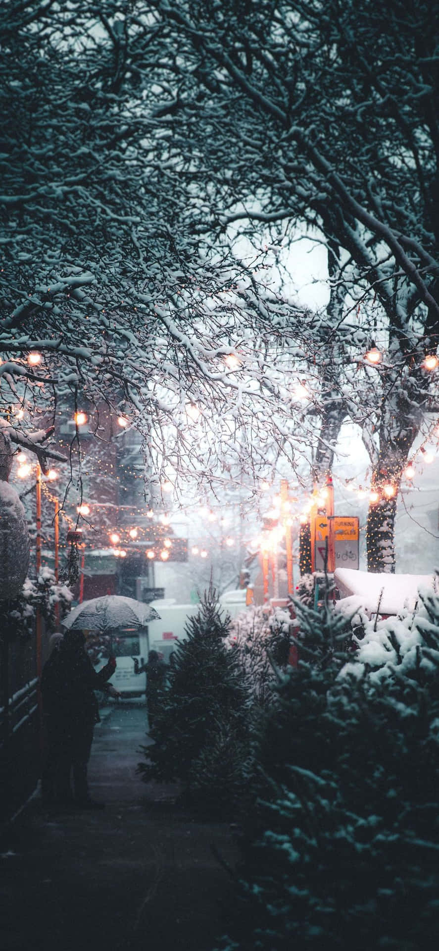 Embrace the cool winter season with snow aesthetics.