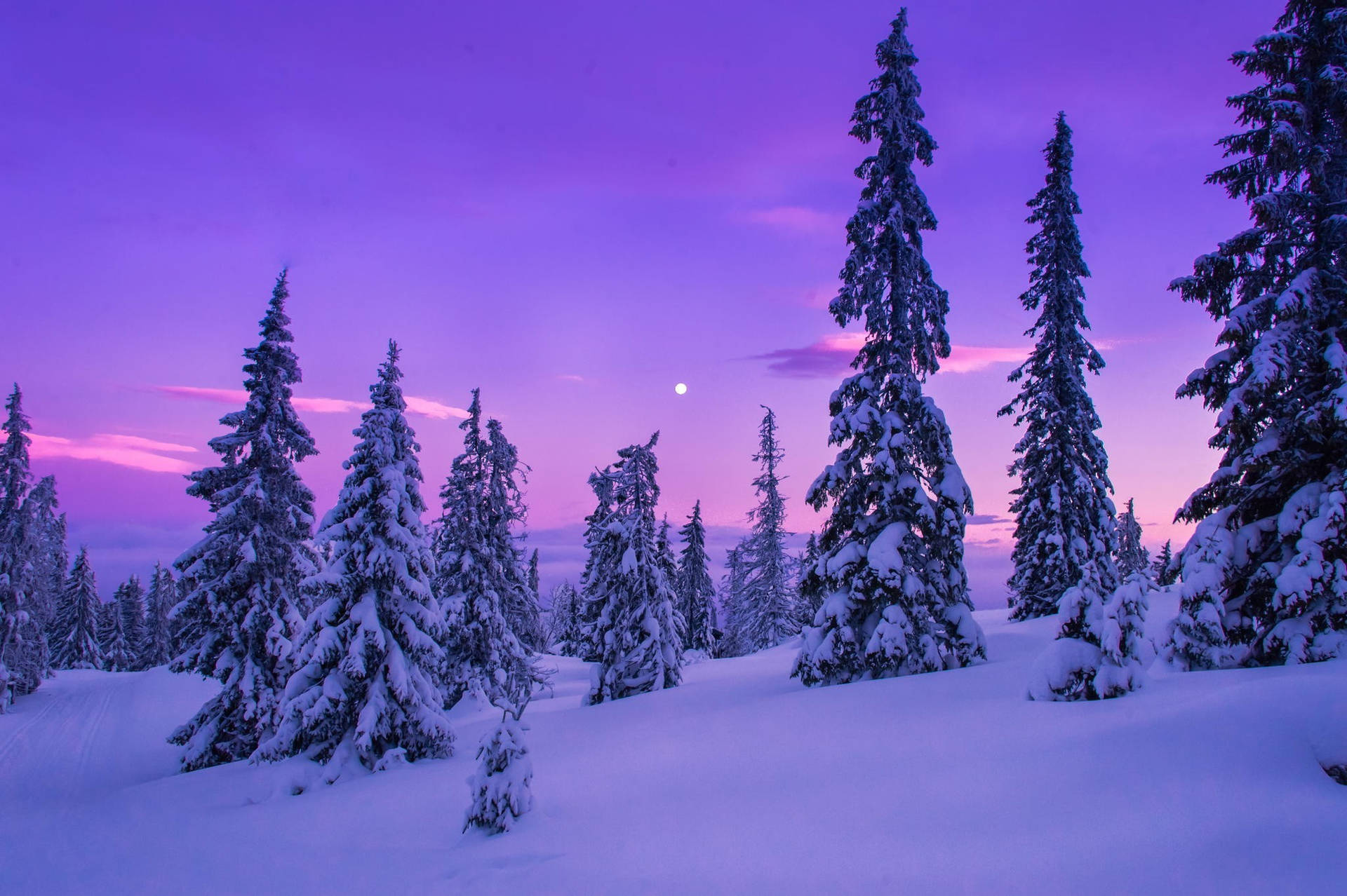 Snow Aesthetic Twilight Wallpaper