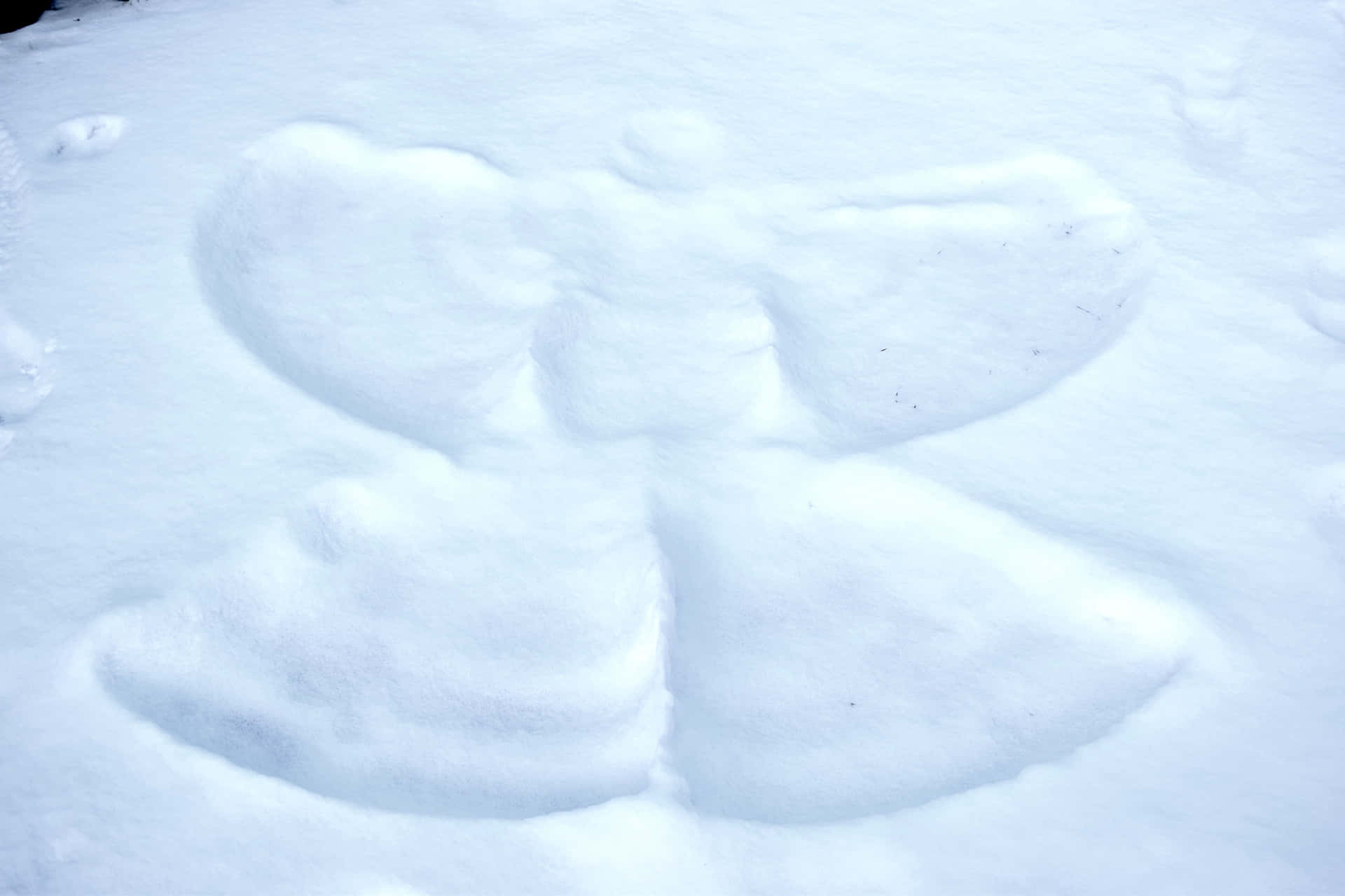 Hermosoángel De Nieve En Un Día De Invierno Fondo de pantalla