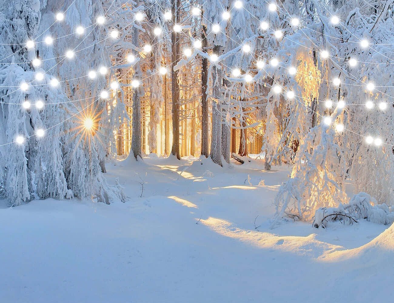 Winter Forest With Garland Lights Snow Background