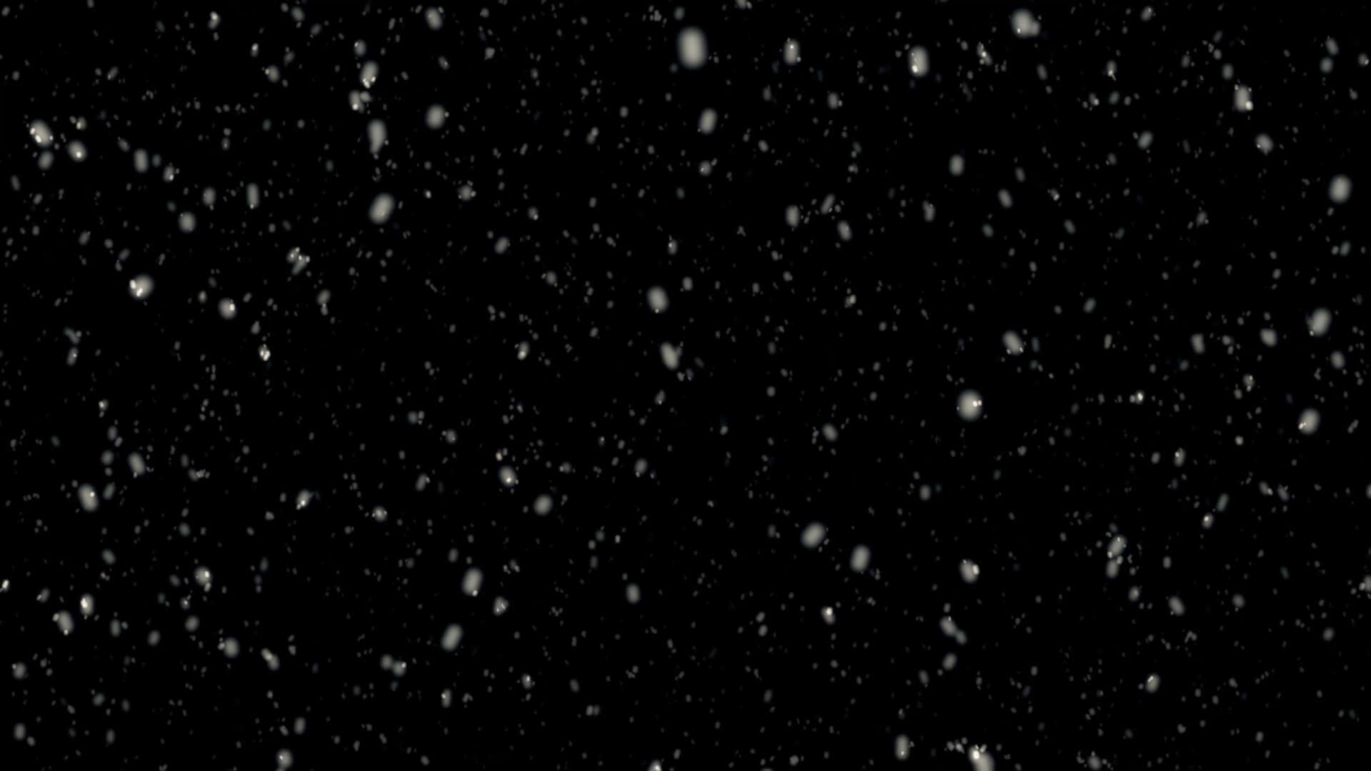 Falling Snow On Black Background