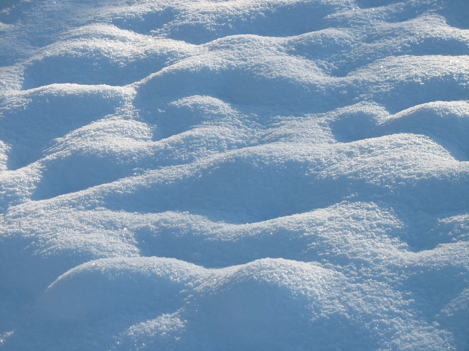 Snow Covered Ground Background