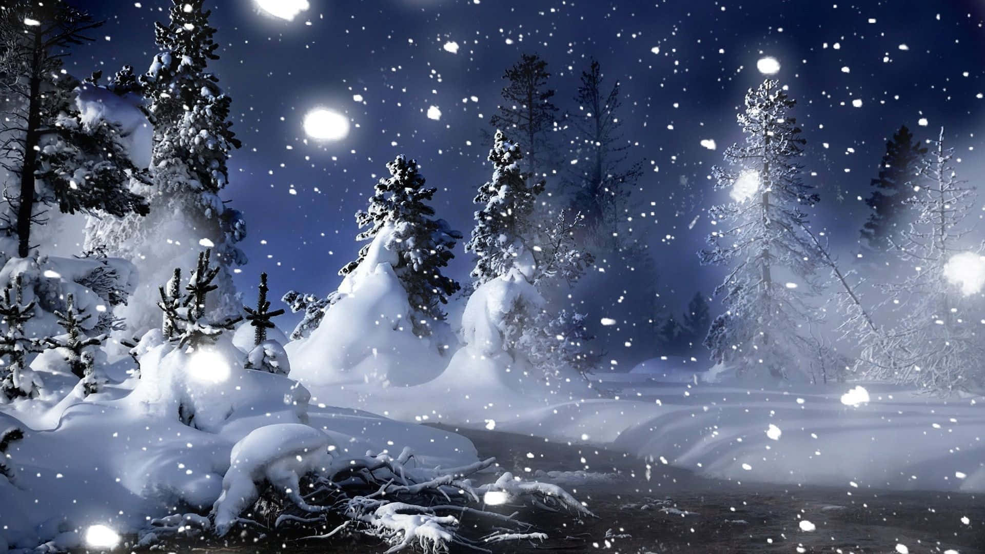 Snowy Forest At Night Background