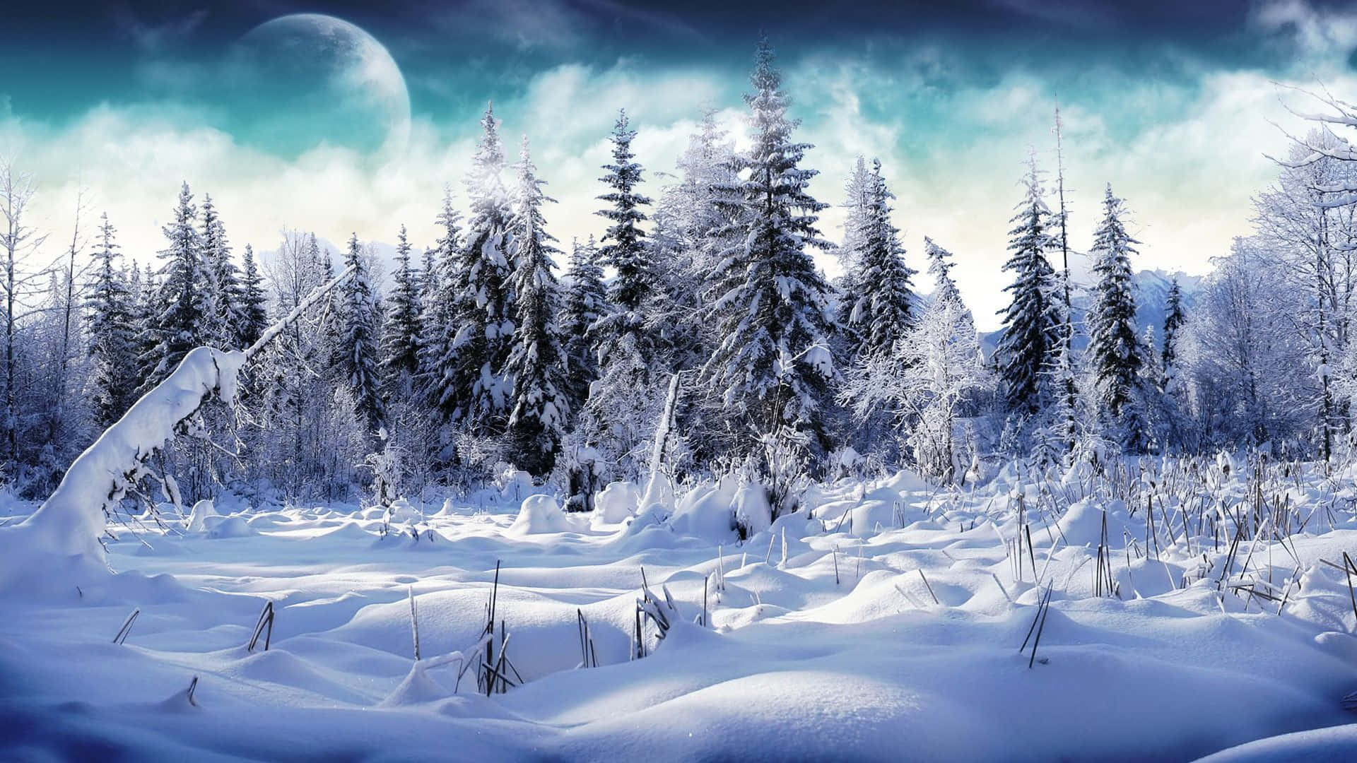 Snow Covered Trees And Moon Background