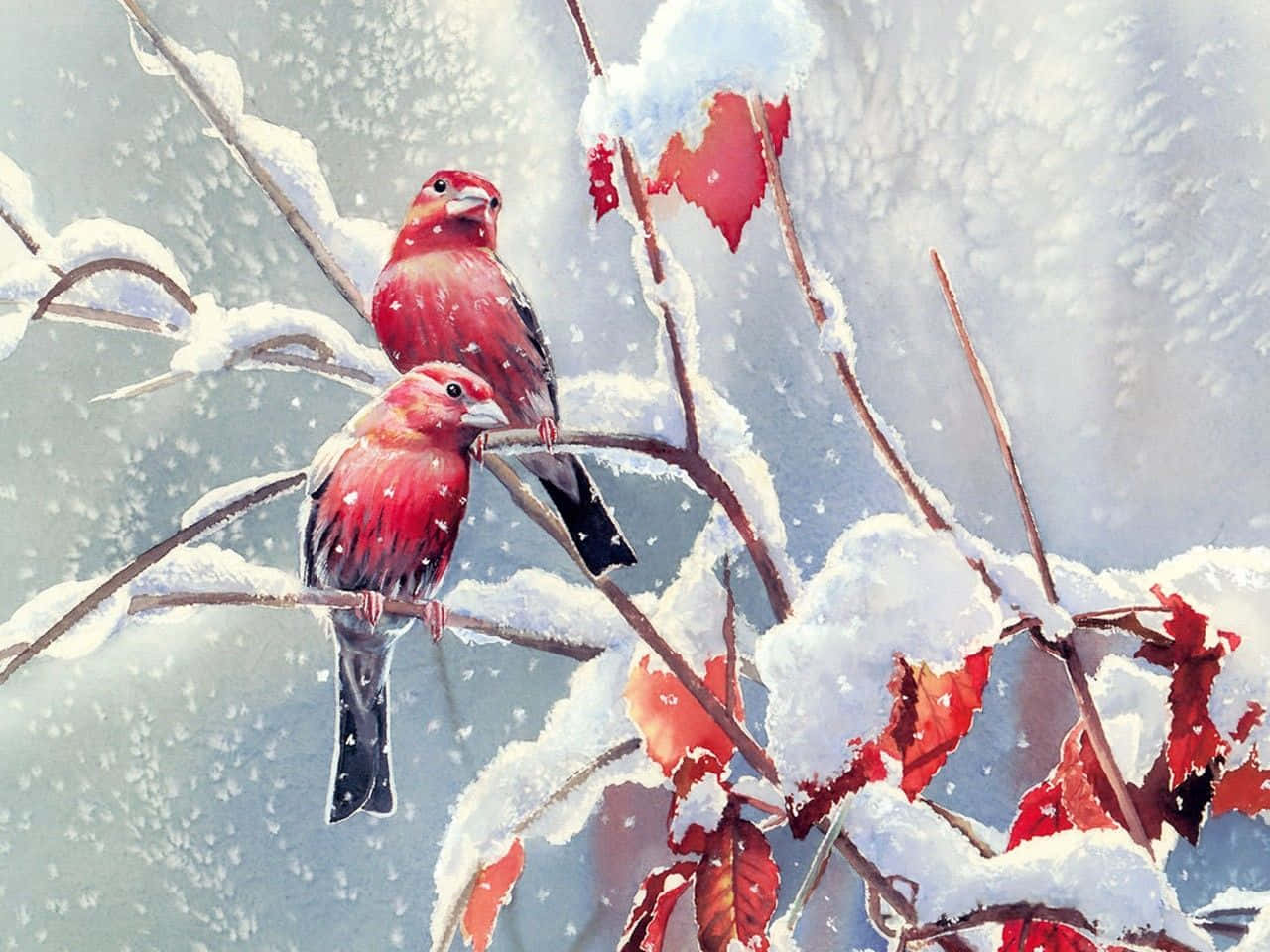 Pájarode Nieve Relajándose En Una Rama Nevada. Fondo de pantalla