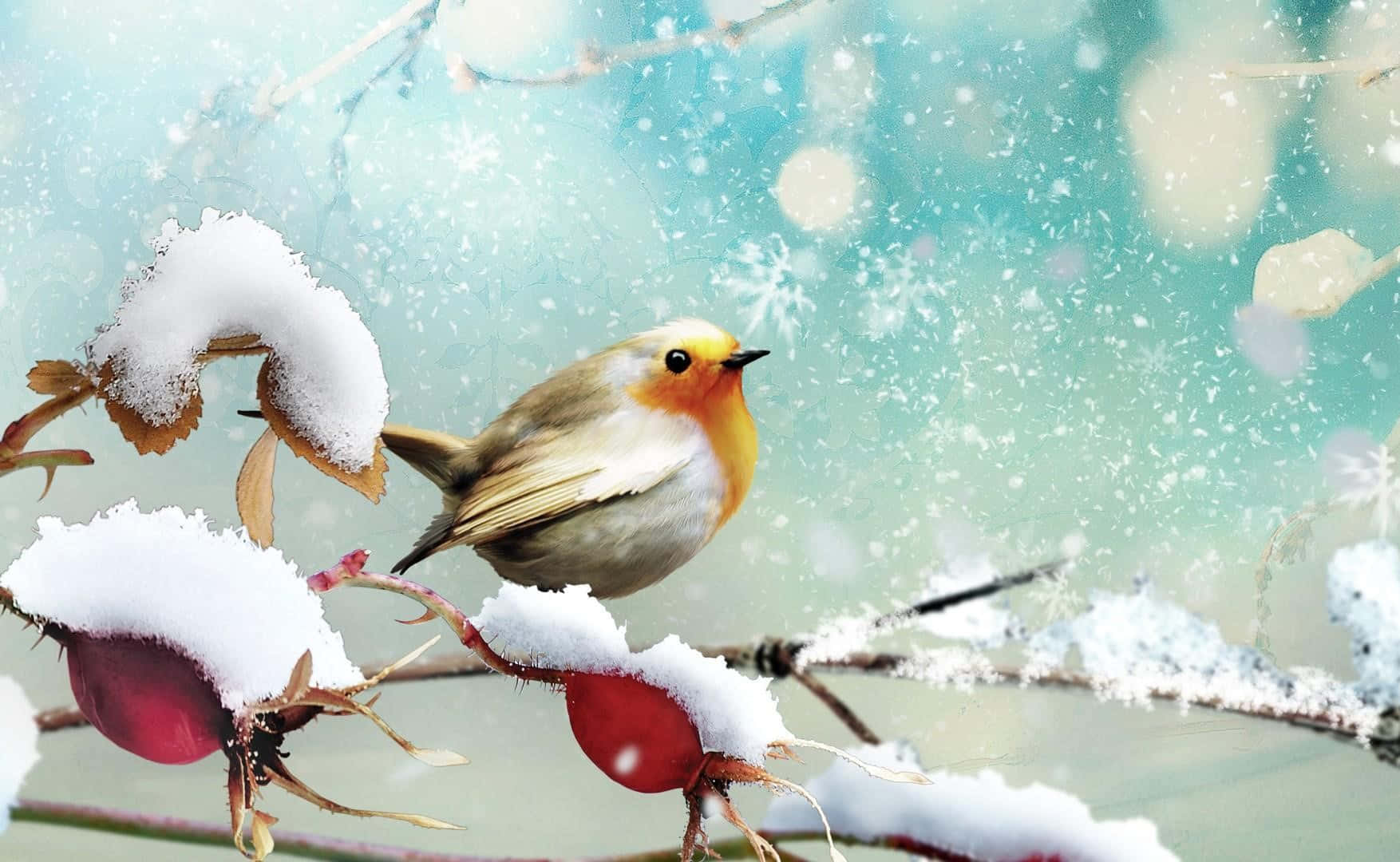 Majestic Snow Bird on a Frosty Branch Wallpaper