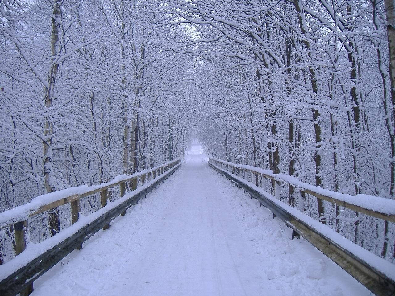 Snow Bridge Winter Scenery Wallpaper