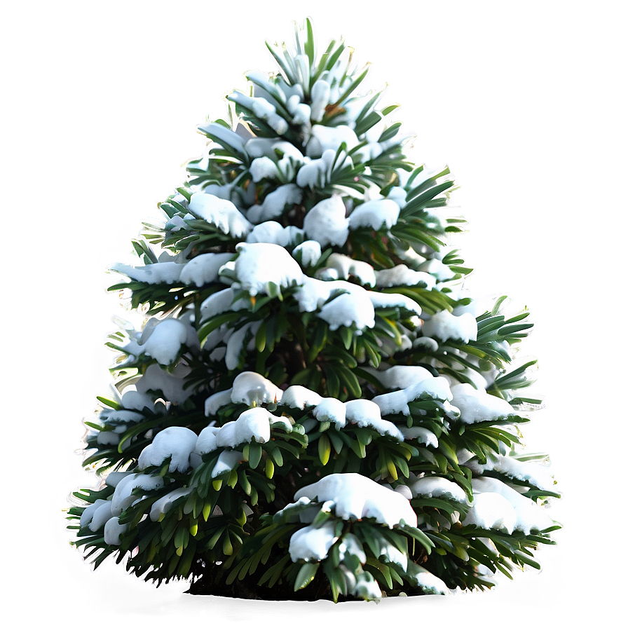 Snow-capped Bush Png 68 PNG