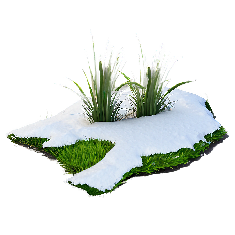 Snow-capped Grass Png Gkt47 PNG