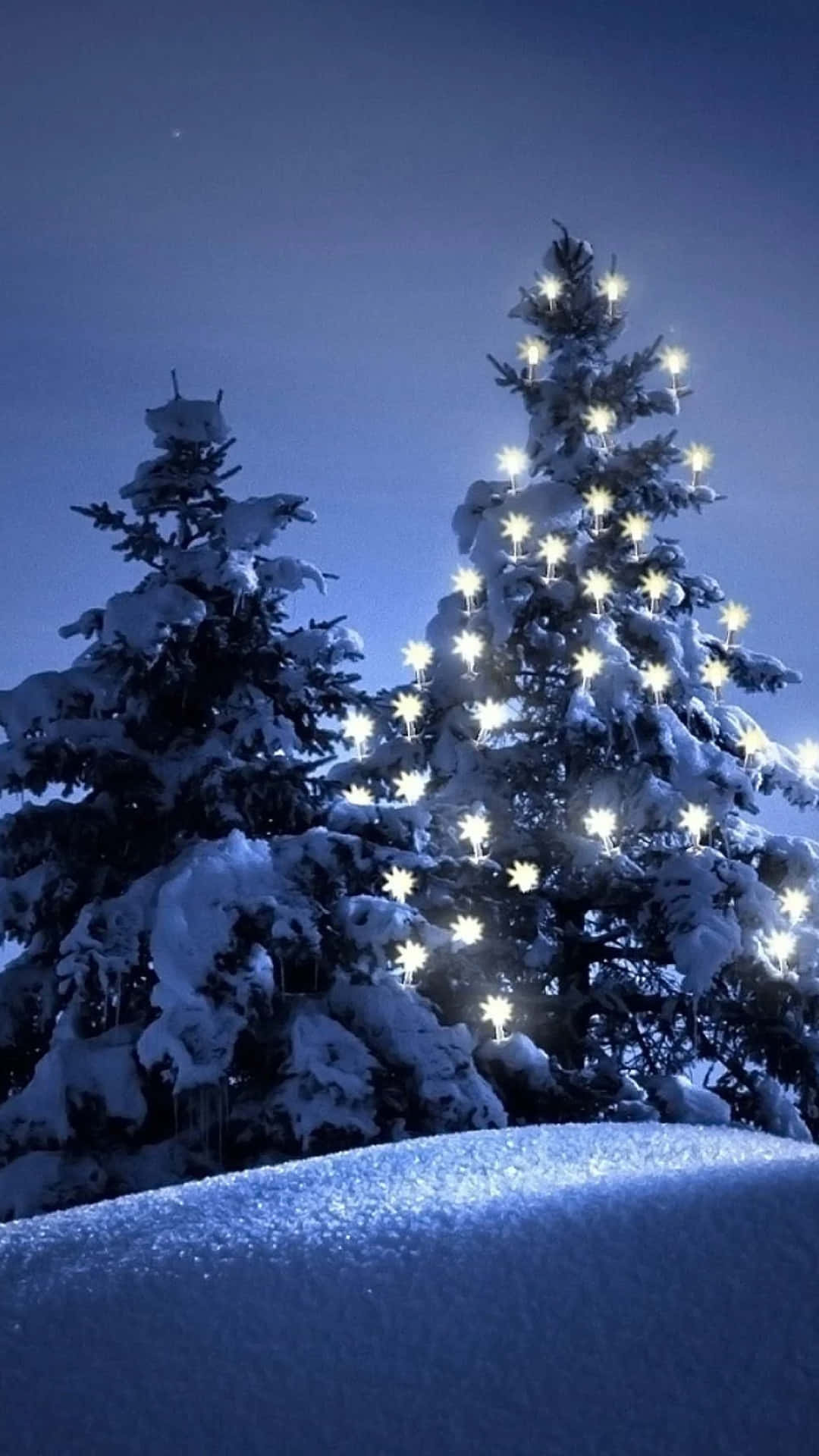 Fundode Retrato Com Árvores De Natal Na Neve.