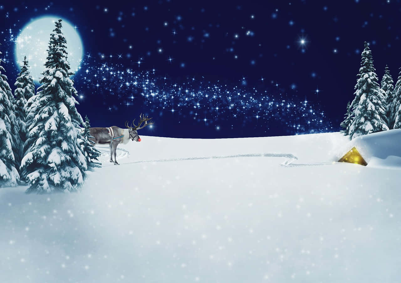 Rudolph Hiding Snow Christmas Background