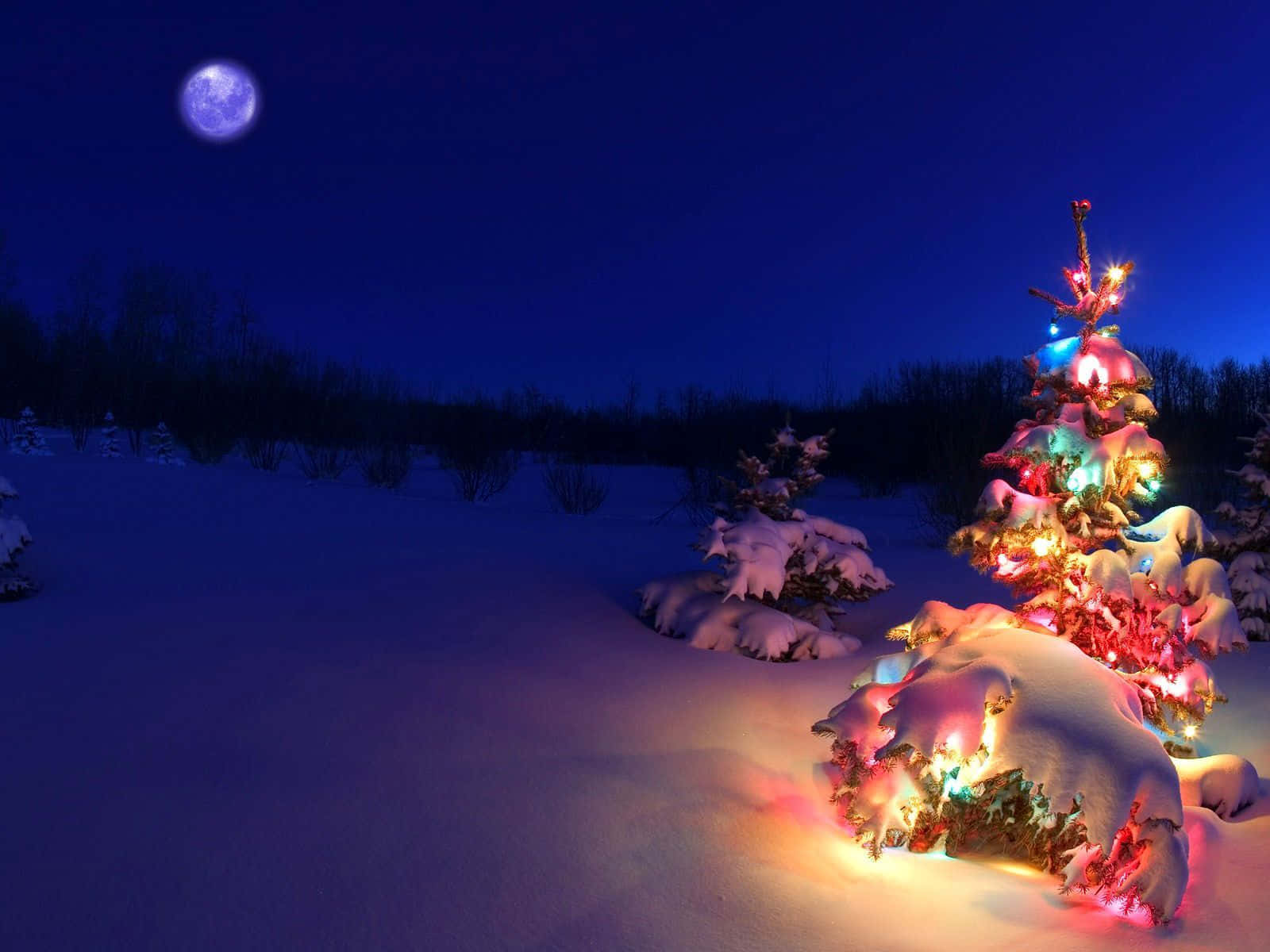 Fundode Natal Com Lua Brilhante Sobre A Neve