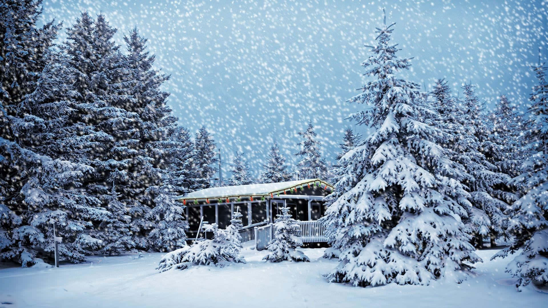 Cabin In Forest Snow Christmas Background