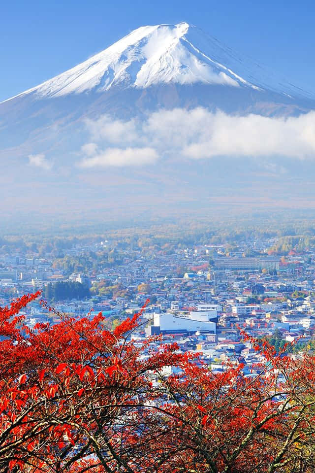 Snow-covered Mount Fuji Picture