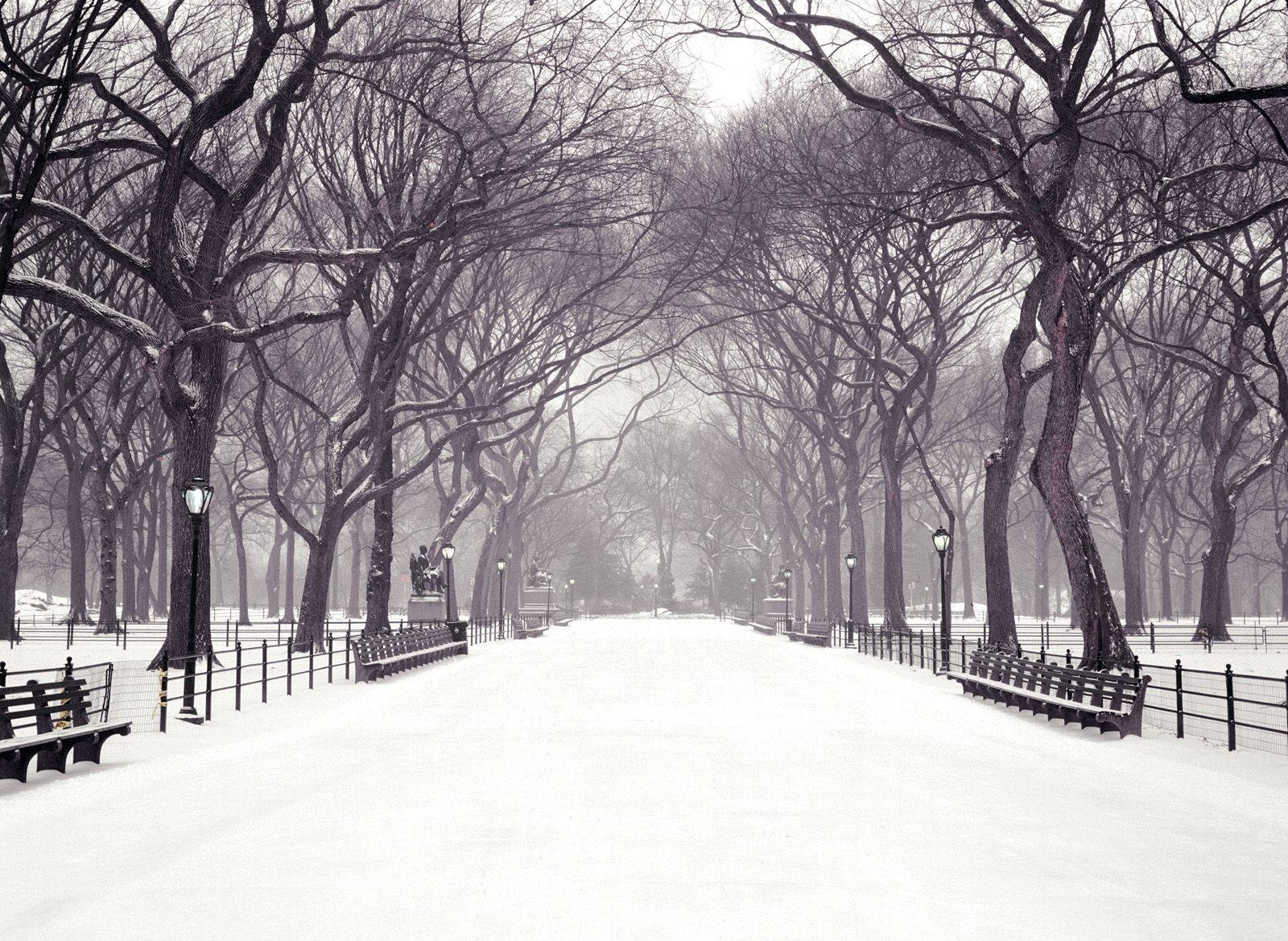 Snow-covered Park Road Wallpaper