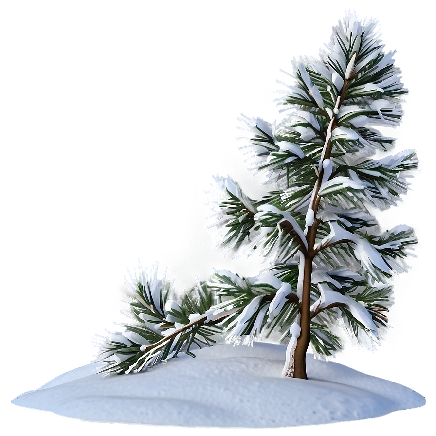 Snow Covered Pine Tree Png Sly PNG