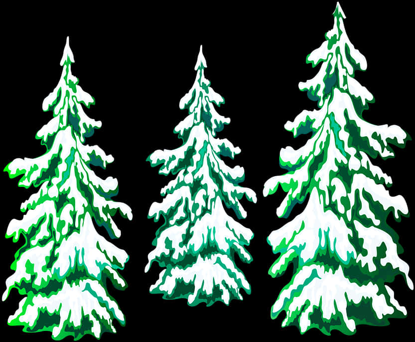 Snow Covered Pine Trees Illustration PNG