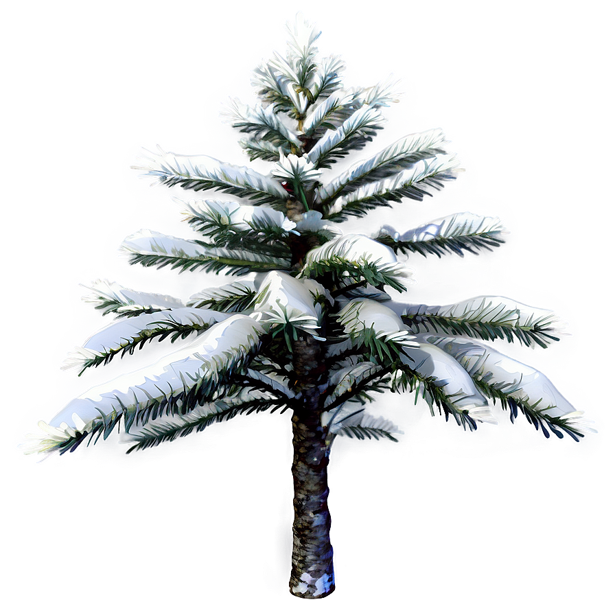 Snow-covered Spruce Tree Png 40 PNG